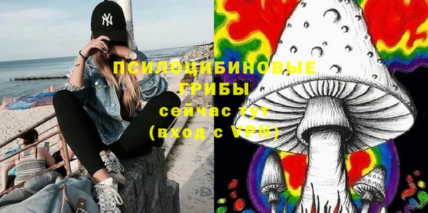 альфа пвп Корсаков