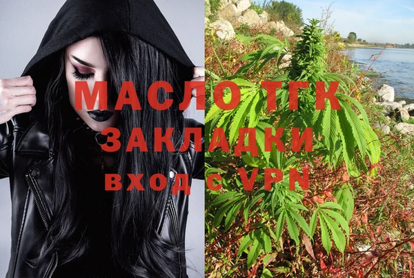 шишки Костерёво