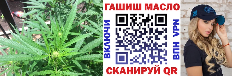 Дистиллят ТГК Wax  Купить закладки  Переславль-Залесский 